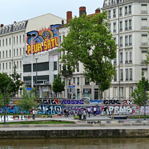 Spray et peinture au rouleau, Lyon 2e, 2021 